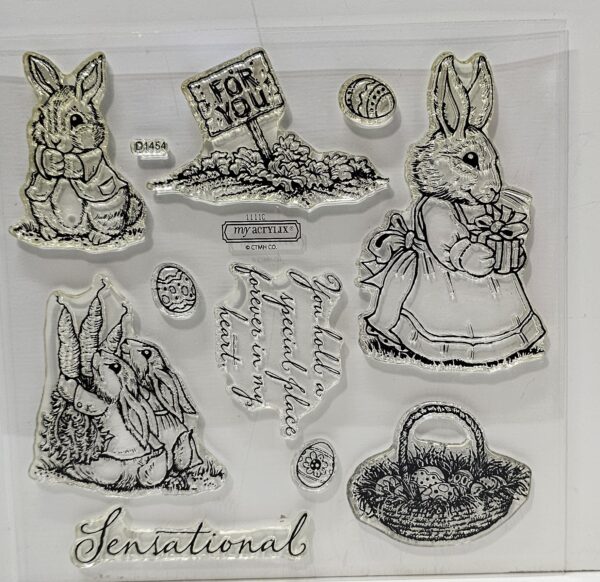 Clear Acrylic stamp of what reminds me of Peter Rabbit.